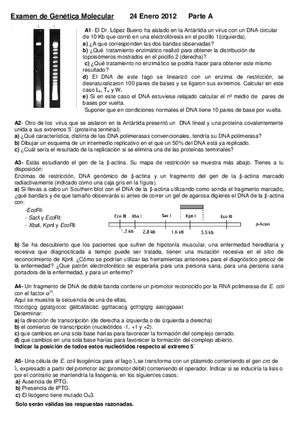 Miniatura del documento Feb12.doc