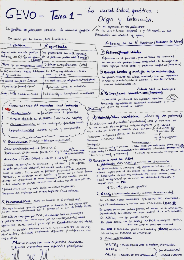 Miniatura del documento Temas 1-6.pdf