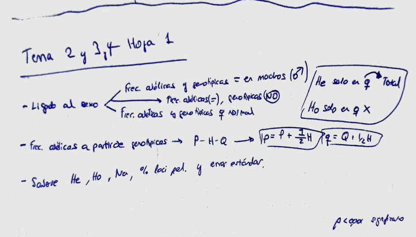 Miniatura del documento Ayuda temas.pdf