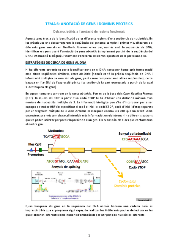 Miniatura del documento T6.pdf