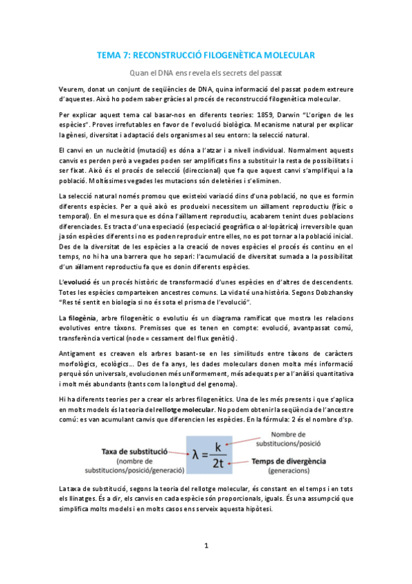 Miniatura del documento T7.pdf