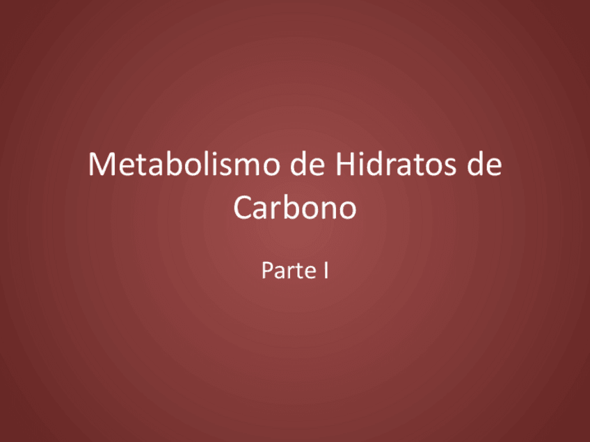 Miniatura del documento Metabolismo-de-Hidratos-de-Carbono-I.pdf