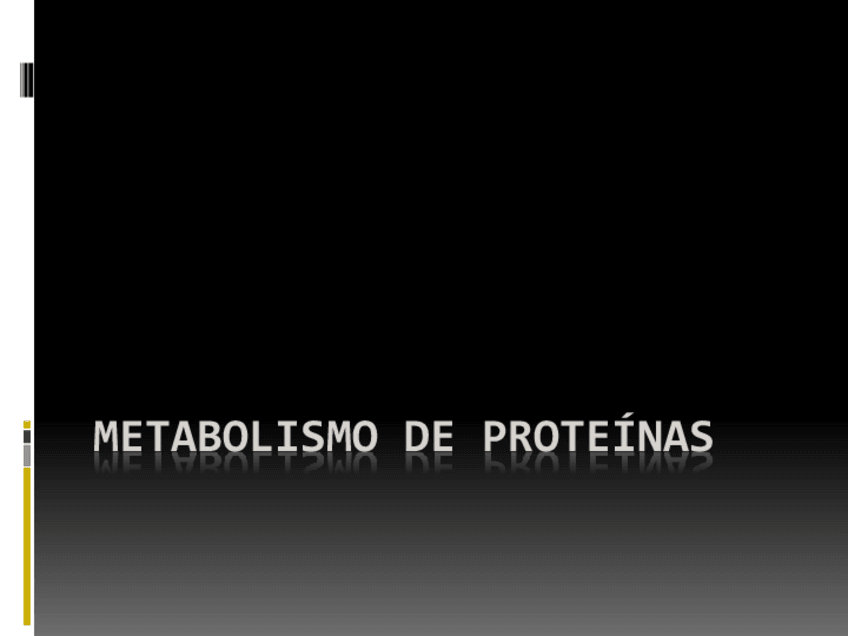 Miniatura del documento Metabolismo-de-proteinas.pdf