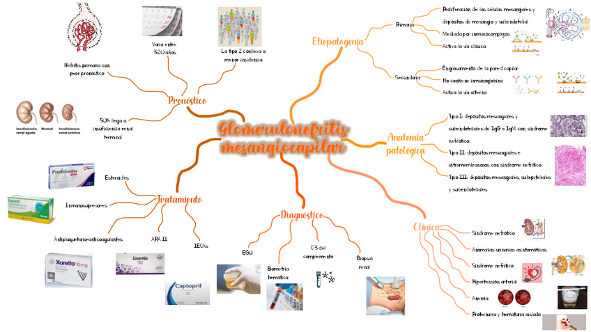 Miniatura del documento Glomerulonefritis-mensagiocapilar.pdf