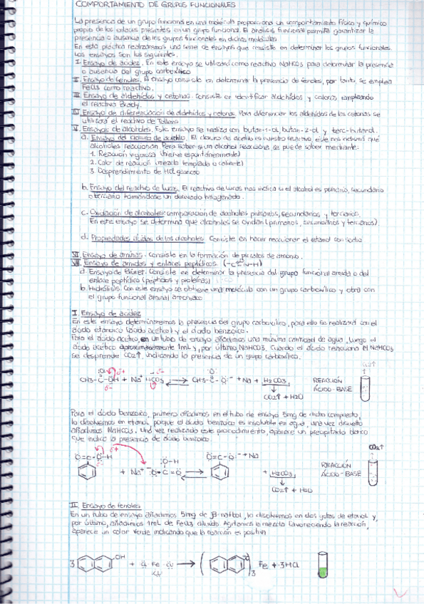 Miniatura del documento P1.pdf