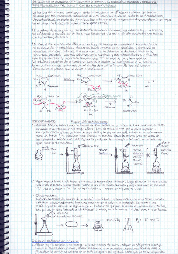 Miniatura del documento P5.pdf