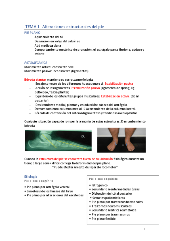 Miniatura del documento PP-U1-completo.pdf