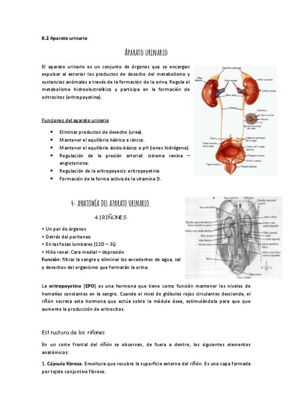 Miniatura del documento 8.pdf