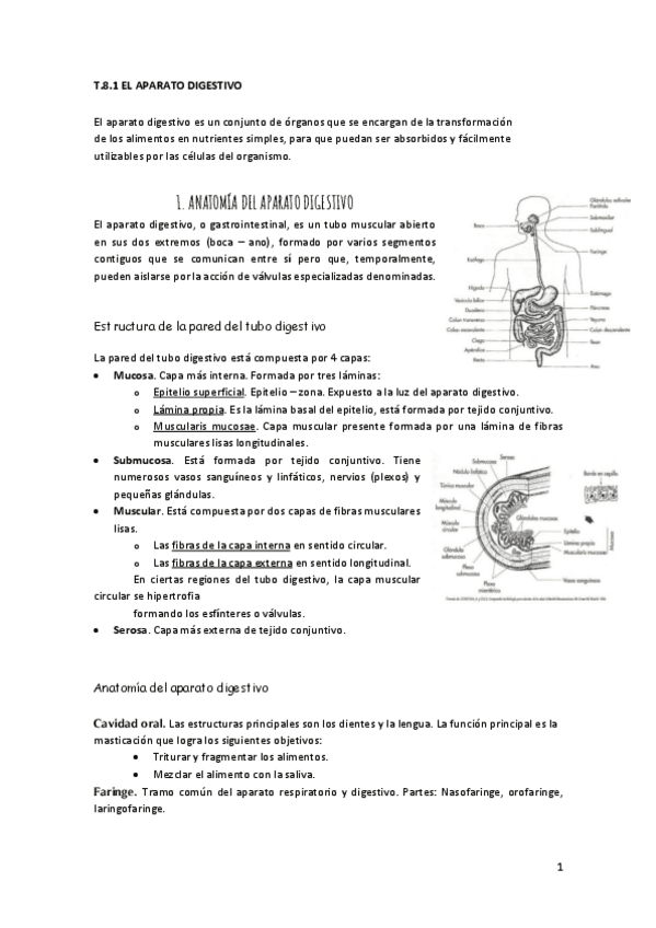 Miniatura del documento 8.pdf