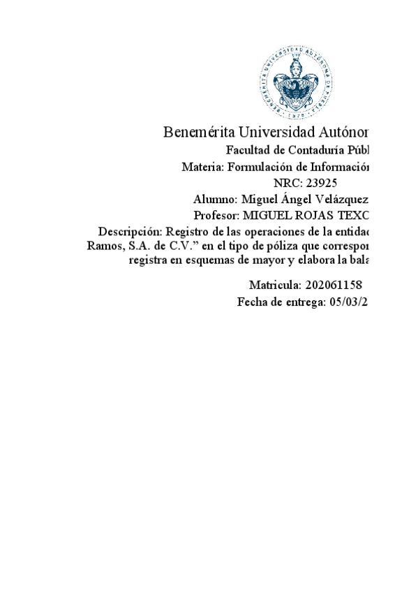 Miniatura del documento Formulation-of-financial-information-3.pdf