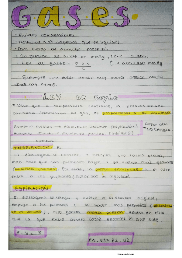 Miniatura del documento gases.pdf