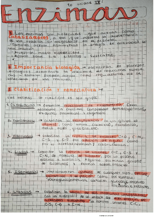 Miniatura del documento tp-enzimas.pdf