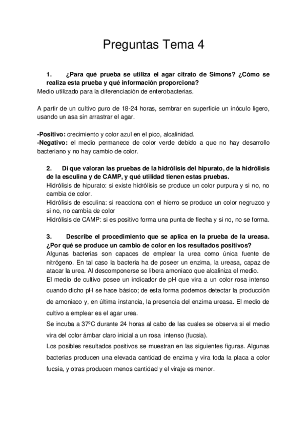 Miniatura del documento preguntasTema4.docx