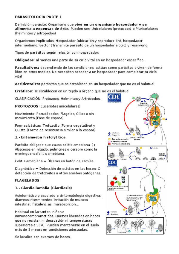 Miniatura del documento Parasitos-Parte-1-apuntes.docx