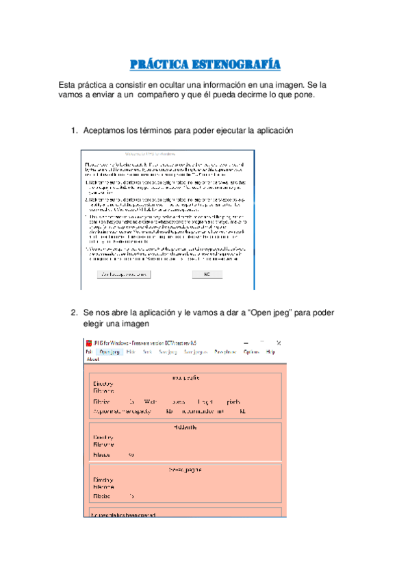 Miniatura del documento practica-esteganografia.pdf