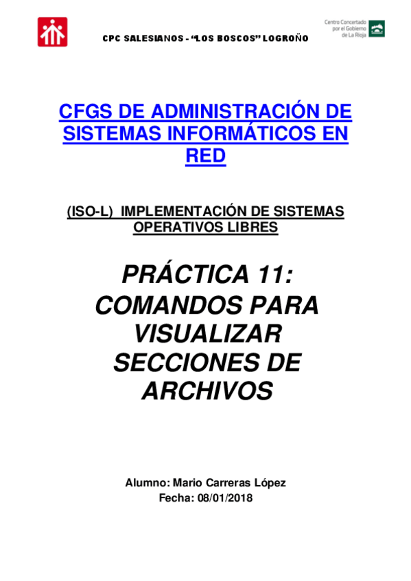 Miniatura del documento P11-Visualizacion-de-secciones-de-archivos.pdf