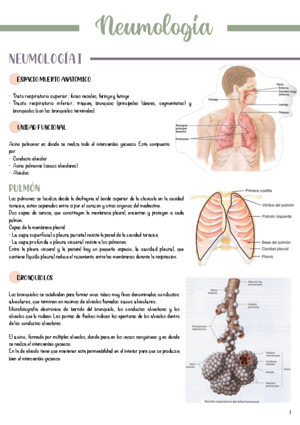 Miniatura del documento T2-Neumologia.pdf