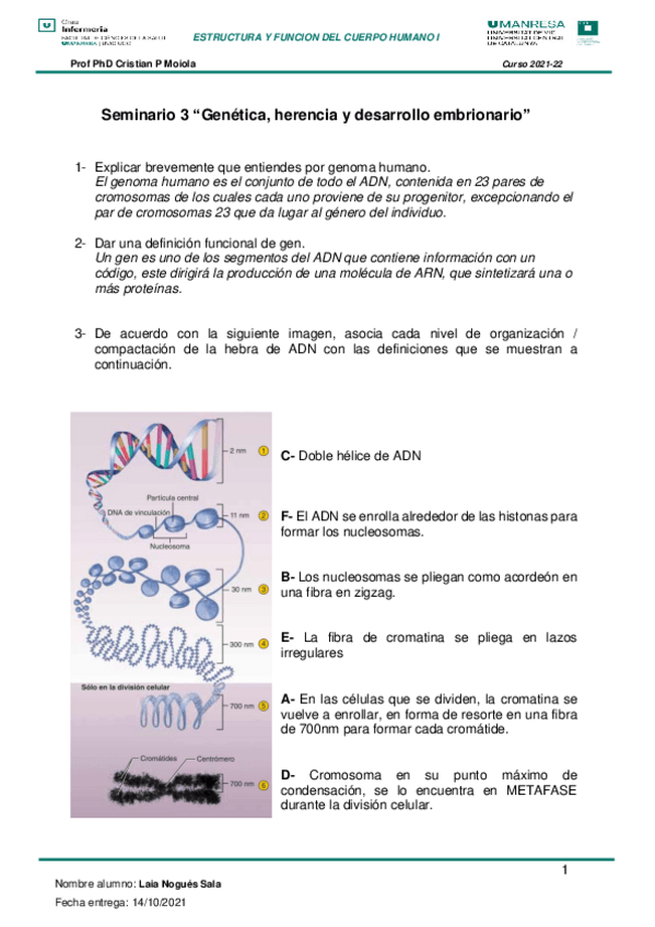 Miniatura del documento SEMINARIO-3.pdf