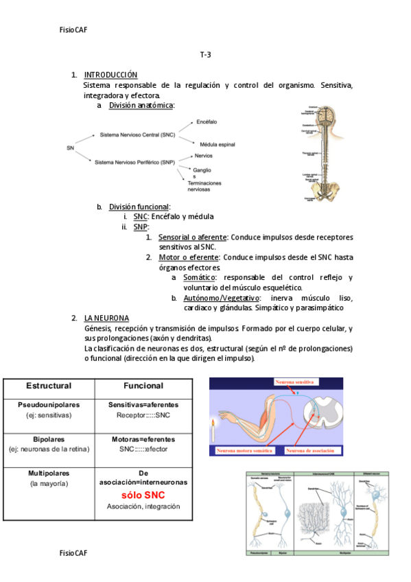 Miniatura del documento T-3.pdf