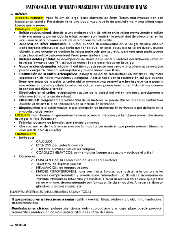 Miniatura del documento PATOLOGIA-VIAS-URINARIAS-BAJAS-Y-APARATO-MASCULINO.pdf