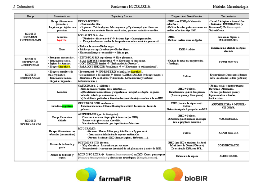 Miniatura del documento 3-Tabla-Resumen-MICOLOGIA.pdf