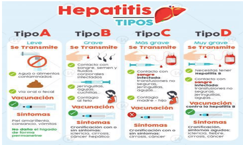 Miniatura del documento RESUMEN HEPATITS.png
