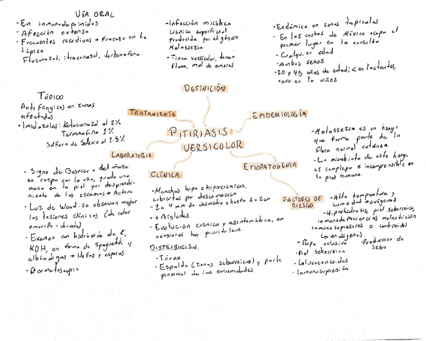 Miniatura del documento Mapas2doparcialHernandez-Villa-Paloma-Suhey.pdf
