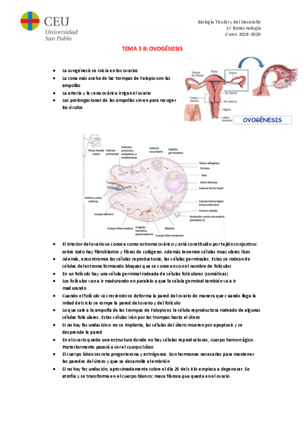 Miniatura del documento TEMA-3-II.pdf