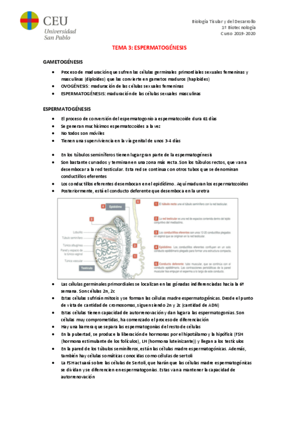 Miniatura del documento TEMA-3.pdf