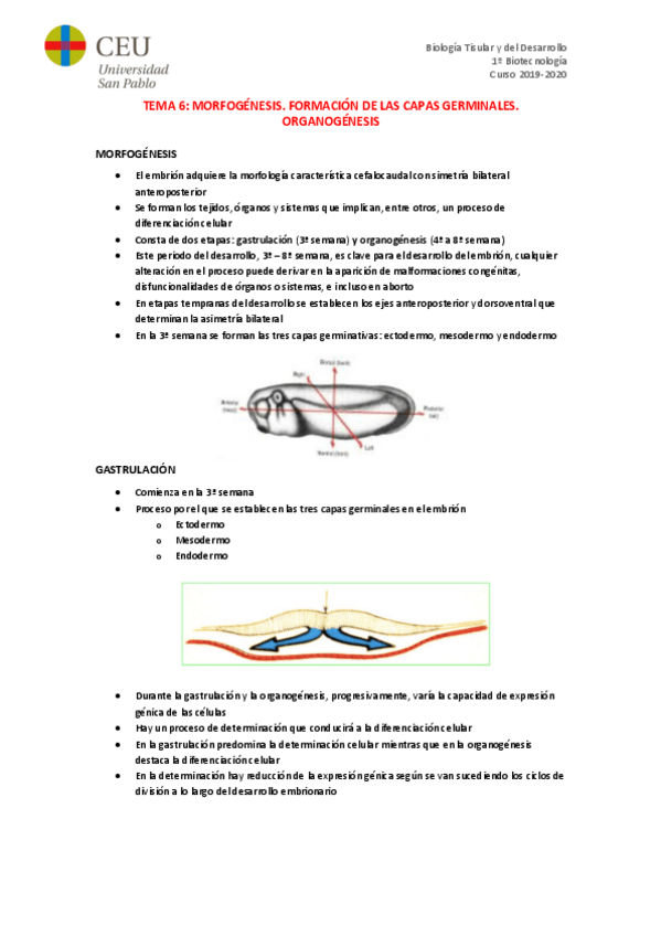 Miniatura del documento TEMA-6.pdf