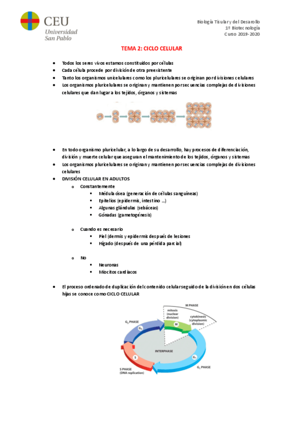 Miniatura del documento TEMA-2.pdf