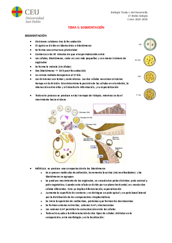 Miniatura del documento TEMA-5.pdf