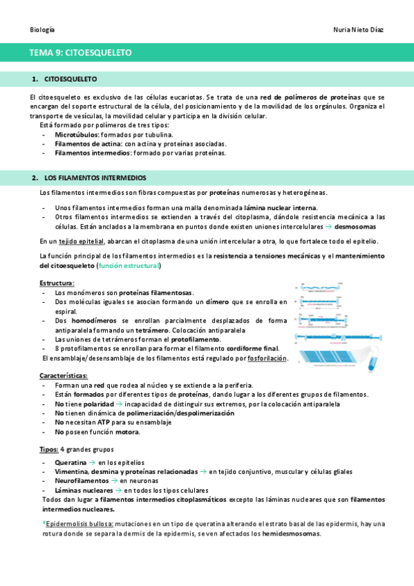 Miniatura del documento TEMA-9-Citoesqueleto.pdf
