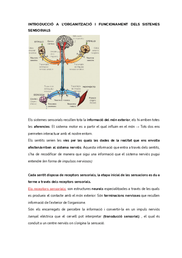 Miniatura del documento BLOC-2.pdf