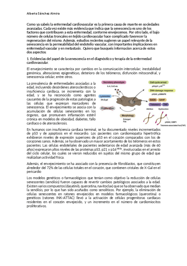 Miniatura del documento Tarea-senescencia-y-enfermedad-cardiovascular-periferica-Alberto-Sanchez-Almira.pdf