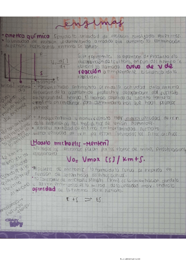 Miniatura del documento Enzimas.pdf