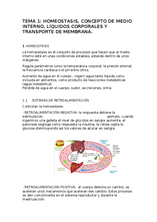 Miniatura del documento FISIOLOGIA-HUMANA-TEMA1.docx
