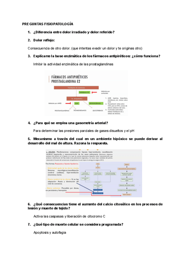 Miniatura del documento PREGUNTAS-EXAMEN-FISIOPATOLOGIA-2021.pdf