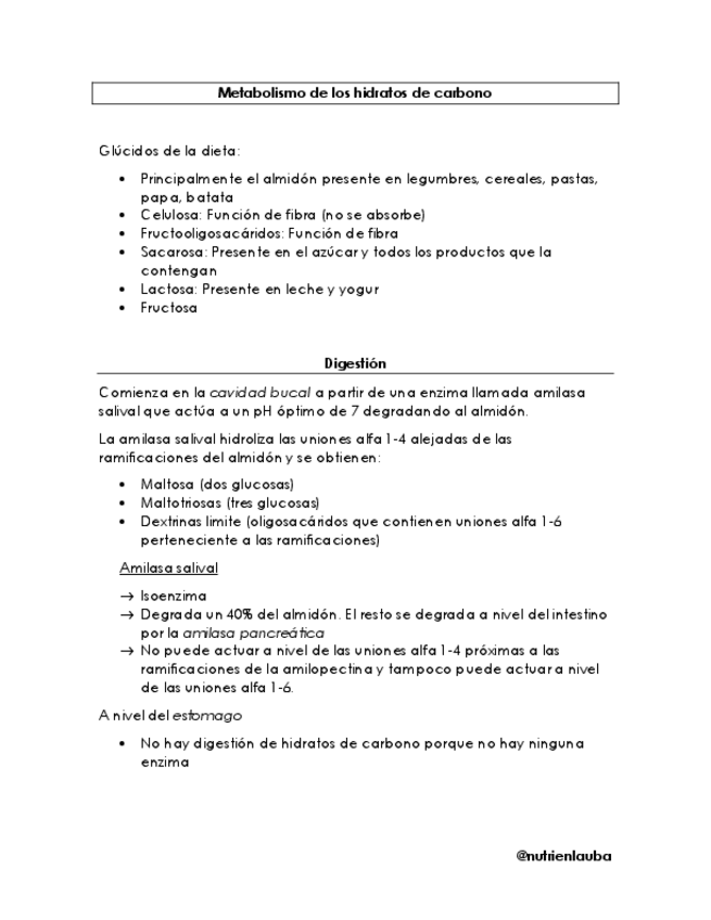 Miniatura del documento Metabolismo-de-los-hidratos-de-carbono.pdf