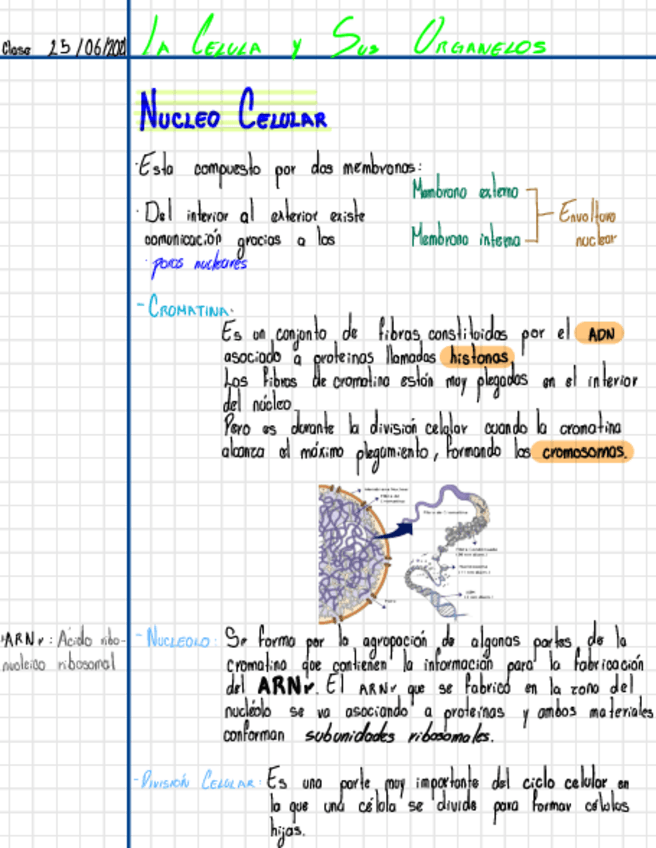 Miniatura del documento GENETICA-.pdf
