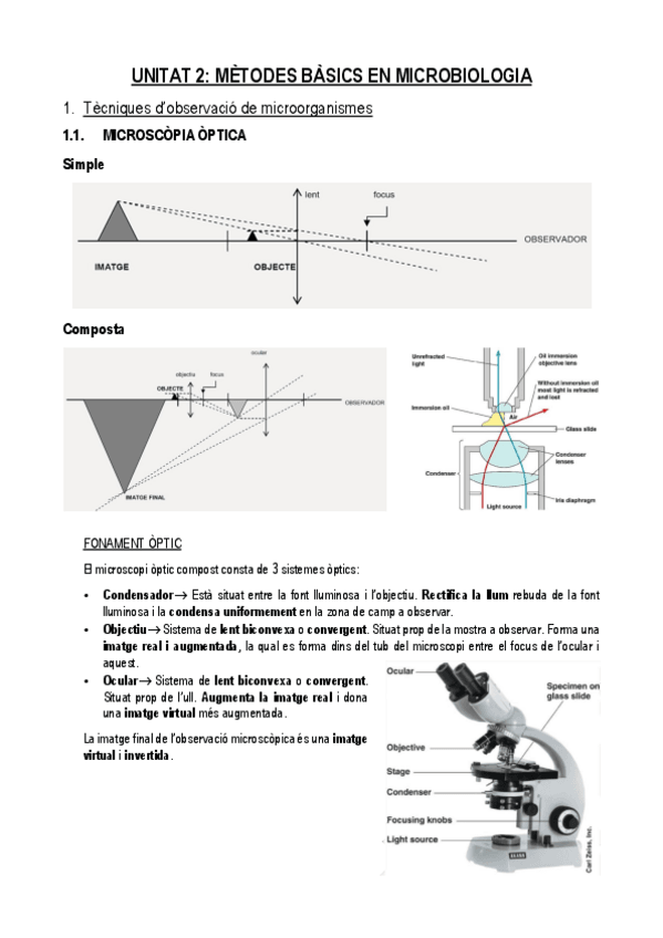 Miniatura del documento UNITAT-2.pdf