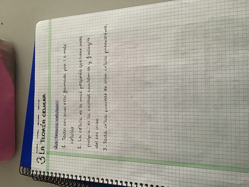 Miniatura del documento DCFE38F0-800E-4154-96FF-6B4E87A5EF53.jpg