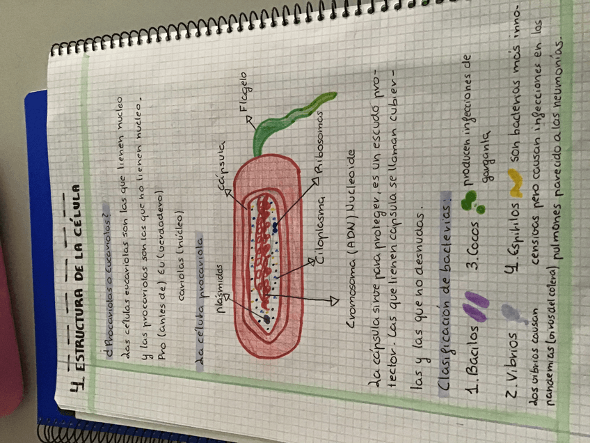 Miniatura del documento BB3CB8ED-A342-4D58-881E-11525AA1EDA6.jpg