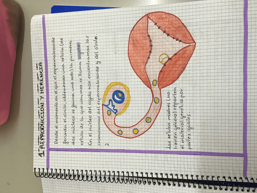 Miniatura del documento 30D8603A-3002-4BD7-8A95-0AE570721309.jpg