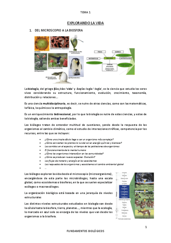 Miniatura del documento TEMA-1.pdf