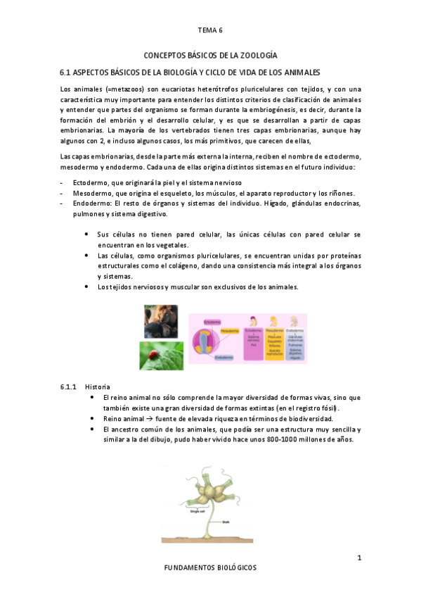 Miniatura del documento TEMA-6.pdf