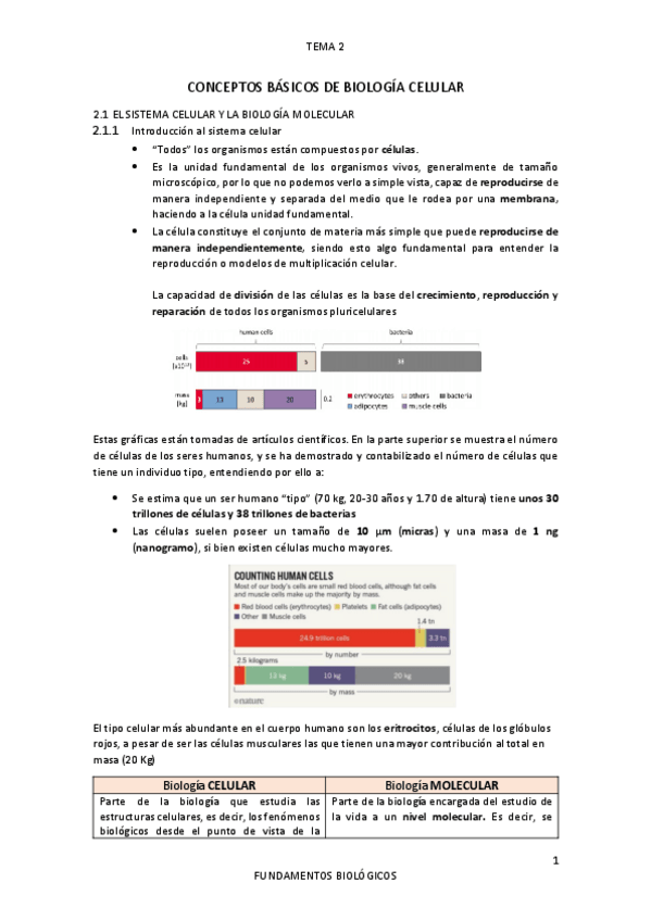 Miniatura del documento TEMA-2.pdf