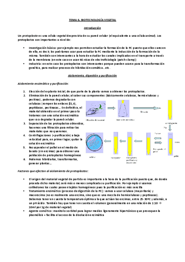 Miniatura del documento Tema-6.pdf
