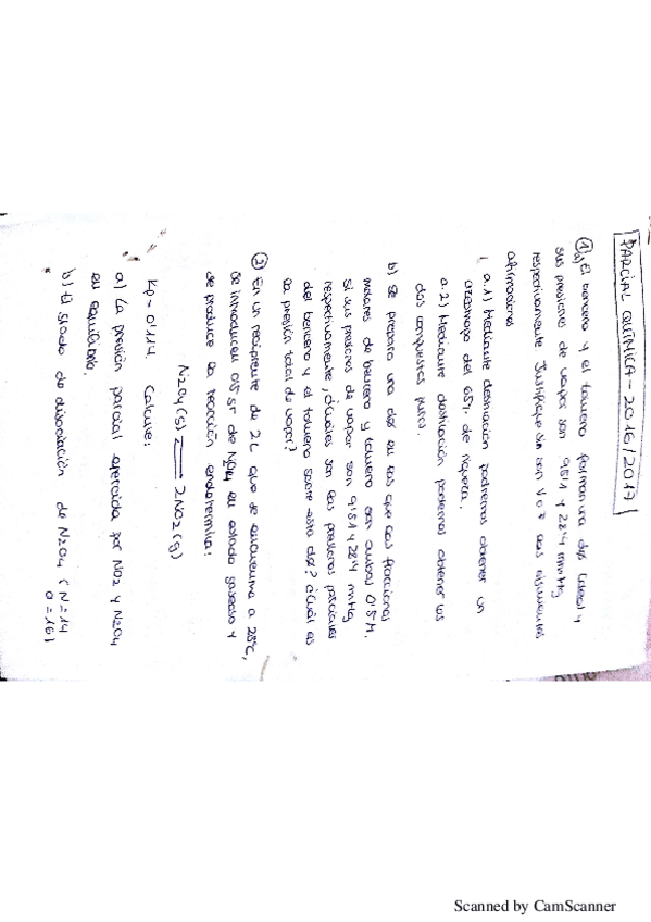 Miniatura del documento parcial quimica.pdf