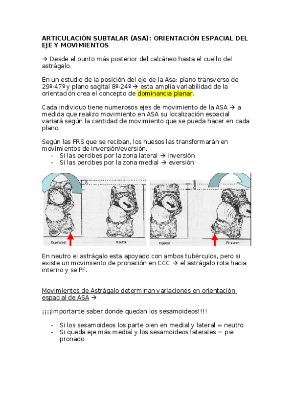 Miniatura del documento Kirby.docx